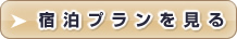 宿泊プランを見る