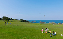 三陸復興国立公園・種差海岸