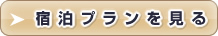 宿泊プランを見る
