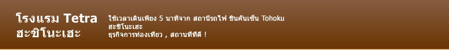 โรงแรม Tetra ฮะชิโนะเฮะ